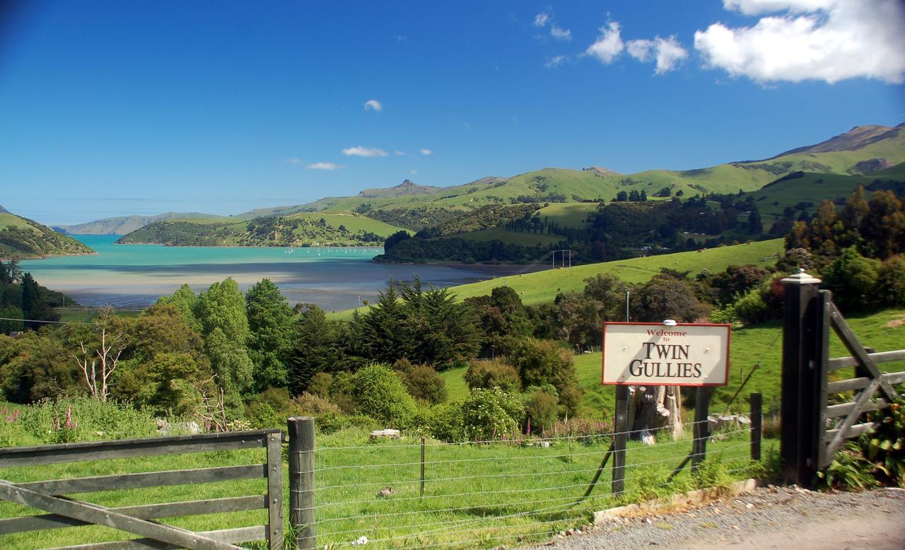 Twin Gullies Bed and Breakfast Akaroa Eksteriør billede