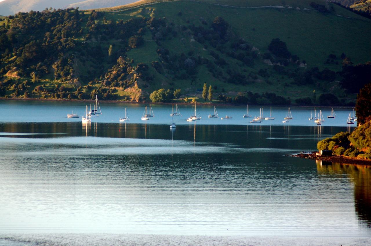 Twin Gullies Bed and Breakfast Akaroa Eksteriør billede