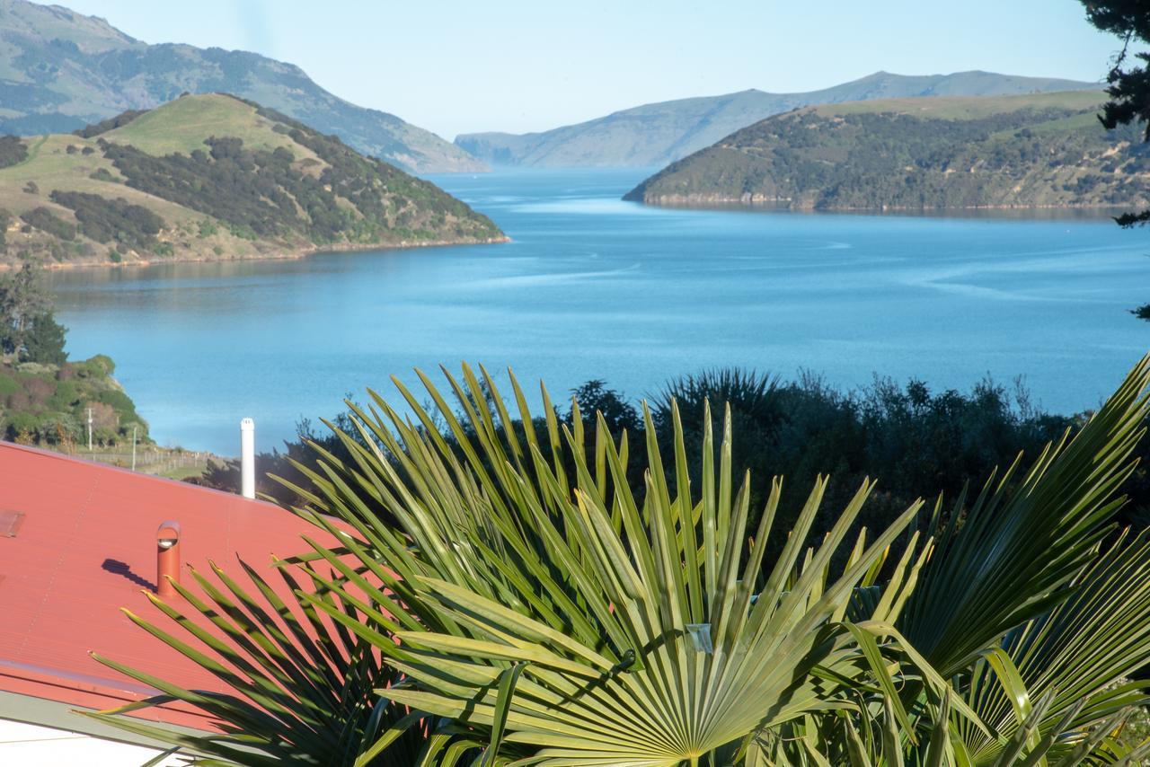 Twin Gullies Bed and Breakfast Akaroa Eksteriør billede